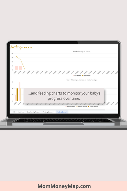 Baby Feeding Tracker with Summaries Google Sheets Spreadsheet