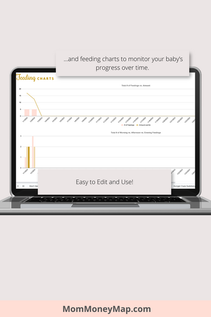 Ultimate Baby Feeding Tracker with Summaries Google Sheets Spreadsheet